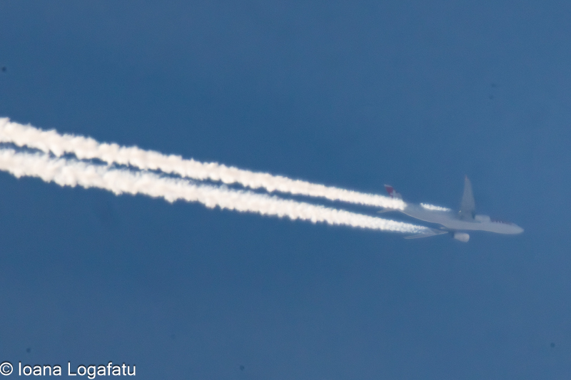 Bright trails mark the sky on a clear day